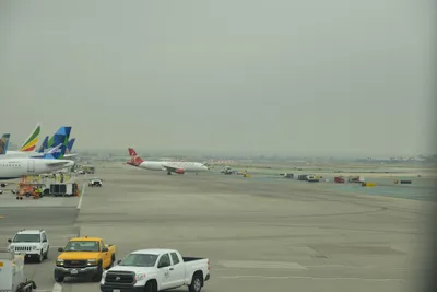 DSC_3170 (Large).JPG